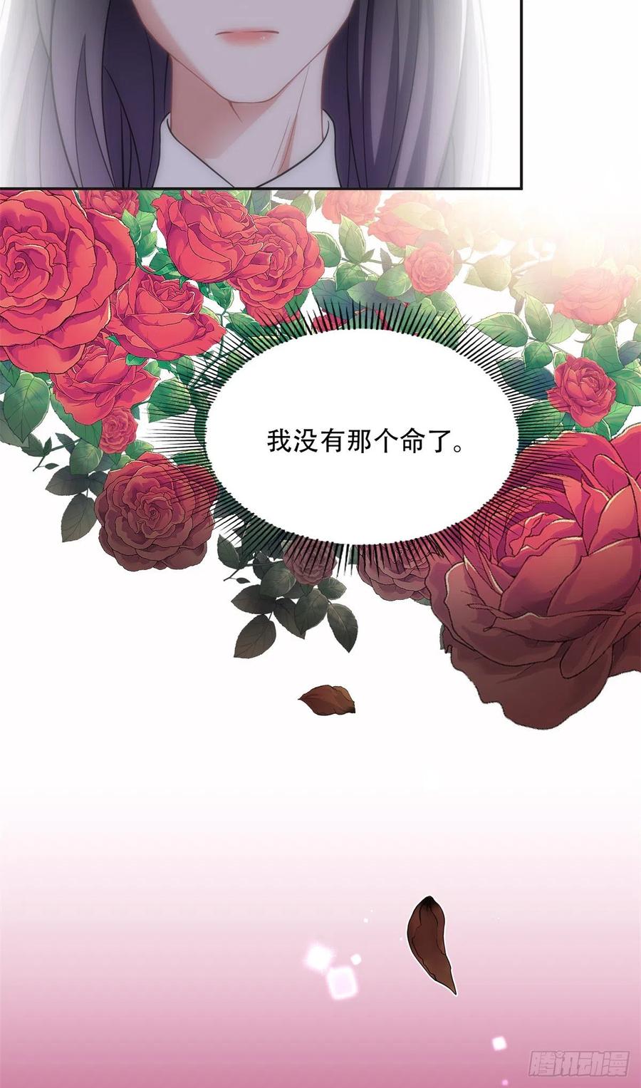 《离婚后前夫成了我的忠犬》72 星河的担忧 第25页