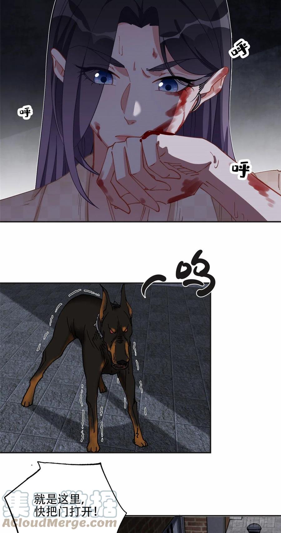 《离婚后前夫成了我的忠犬》74 星河危险！ 第25页