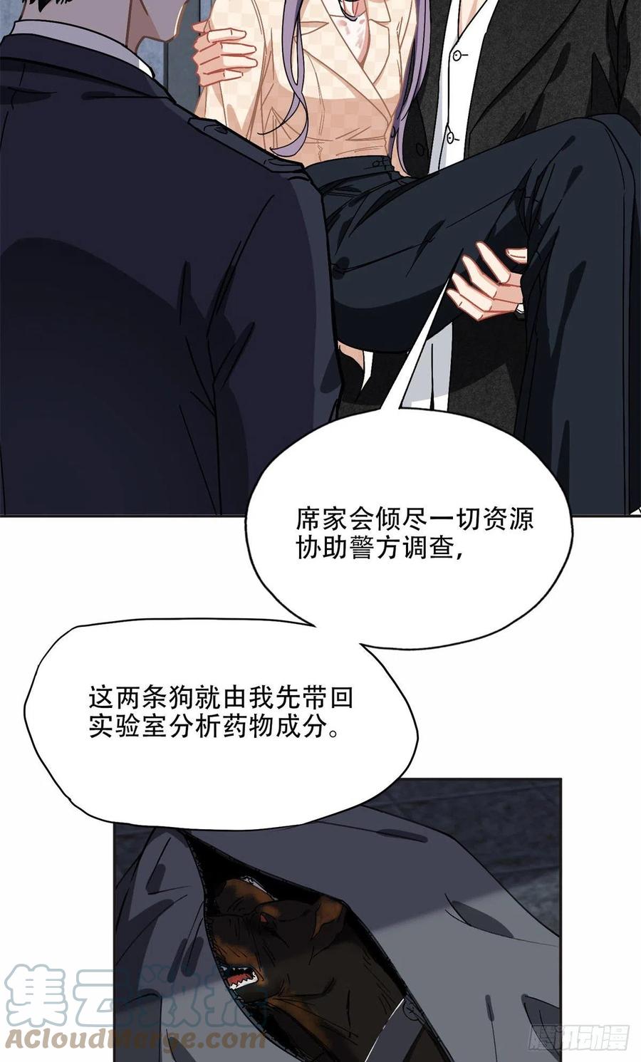 《离婚后前夫成了我的忠犬》75 走，去复仇！ 第12页