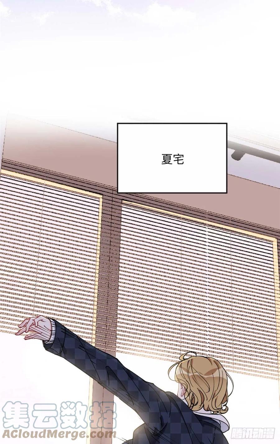 《离婚后前夫成了我的忠犬》83 谁是夏星河？ 第29页