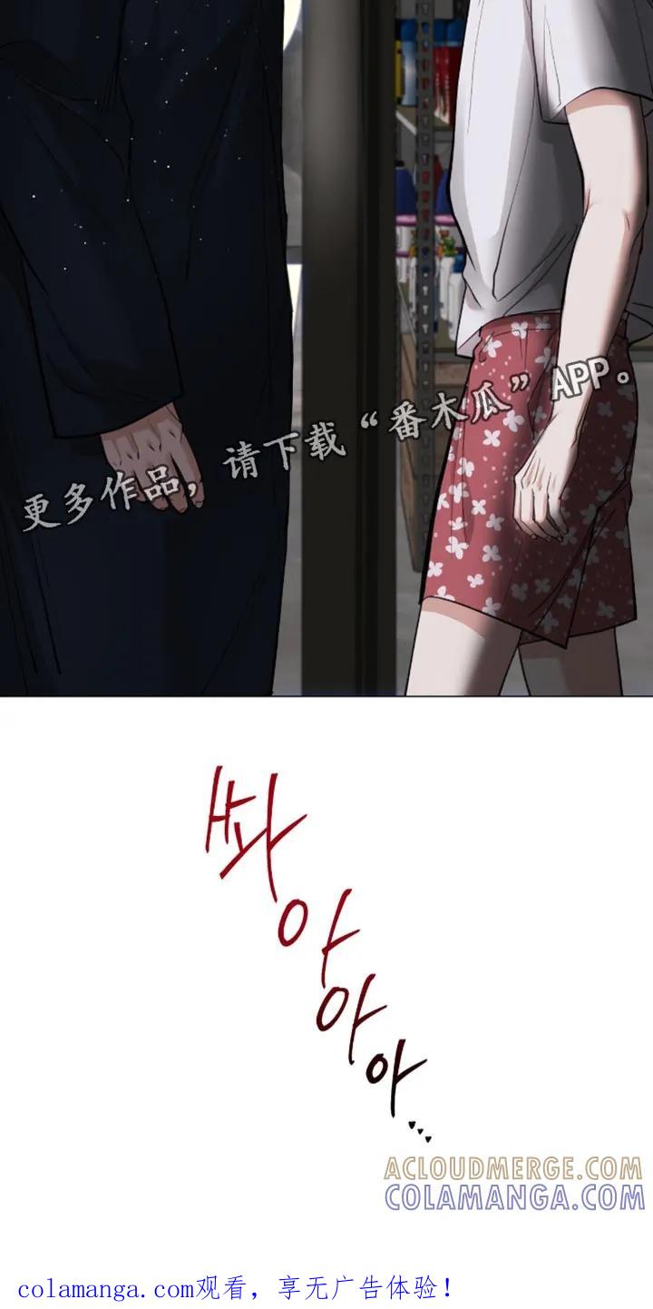 《海岛人生》第104章：【第二季】好久不见 第29页
