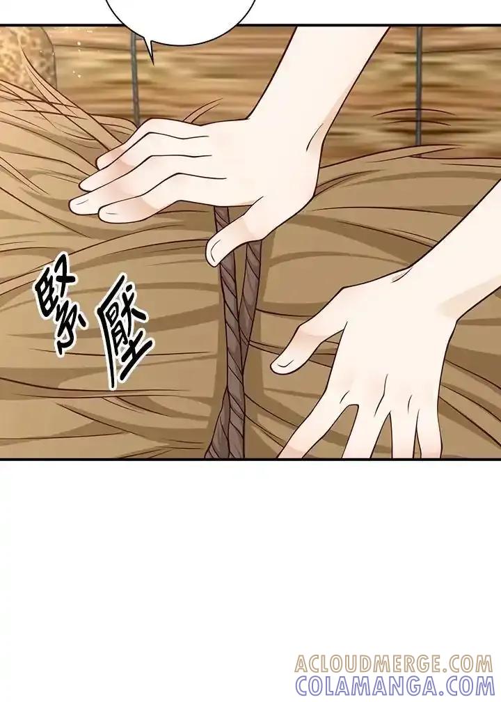 《冰封的心消融之后》第46话 第29页