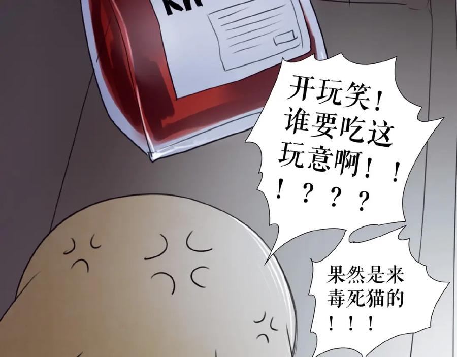 《莉莉丝的世界》番外 虚惊一场喵 第35页