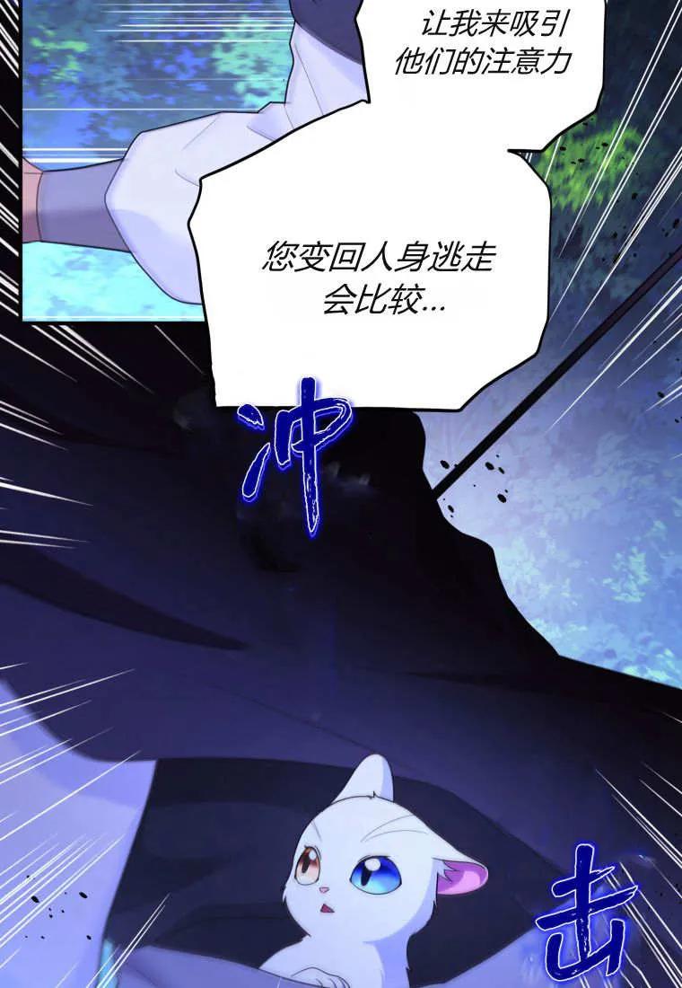 成为苏尔坦珍爱的猫咪 第70话 第66页