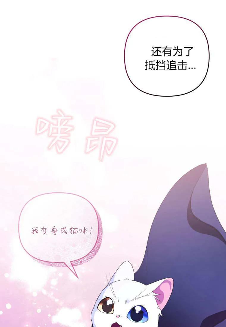 成为苏尔坦珍爱的猫咪 第70话 第56页