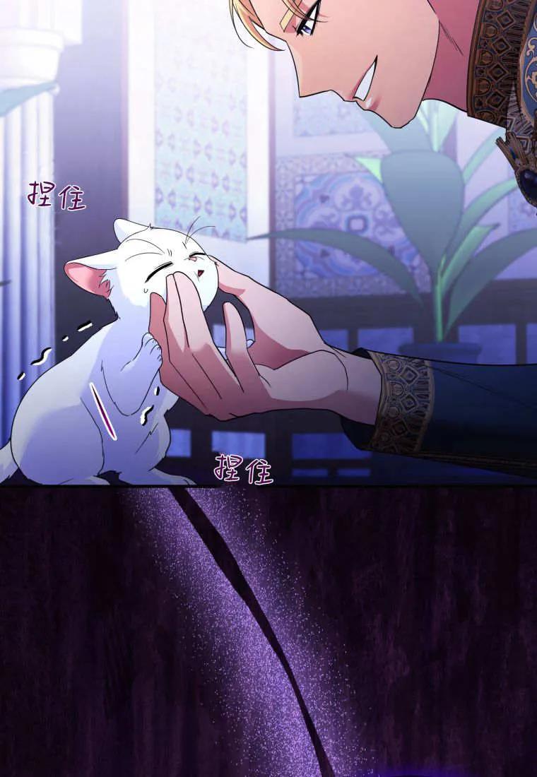 成为苏尔坦珍爱的猫咪 第70话 第81页