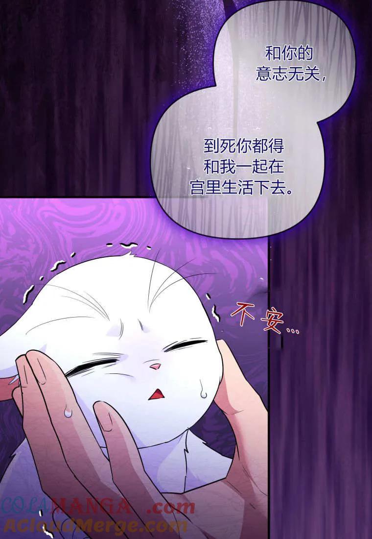 成为苏尔坦珍爱的猫咪 第70话 第82页
