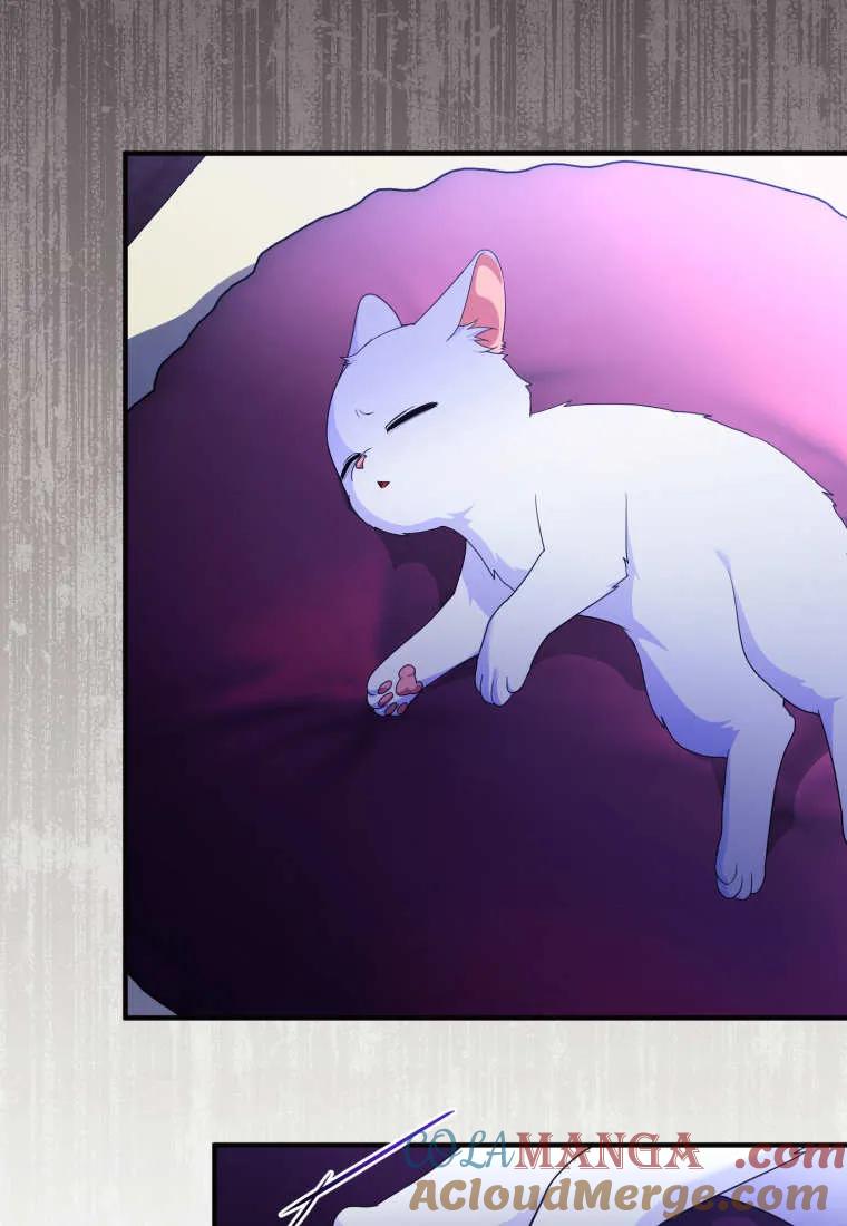 成为苏尔坦珍爱的猫咪 第70话 第70页
