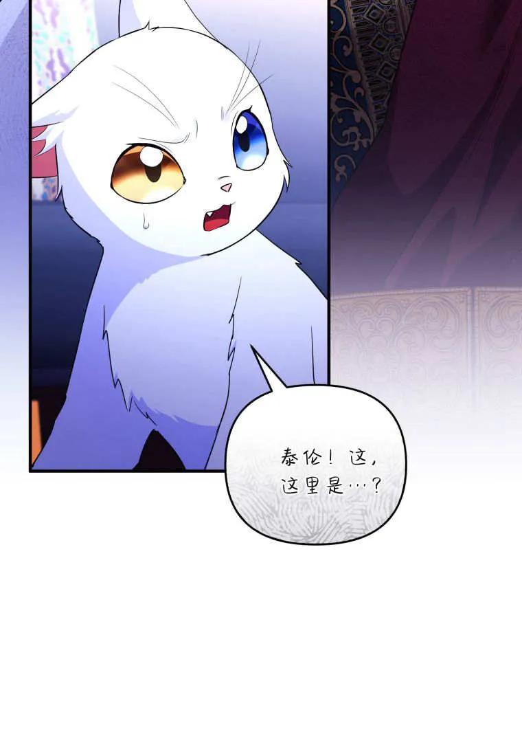 成为苏尔坦珍爱的猫咪 第70话 第74页