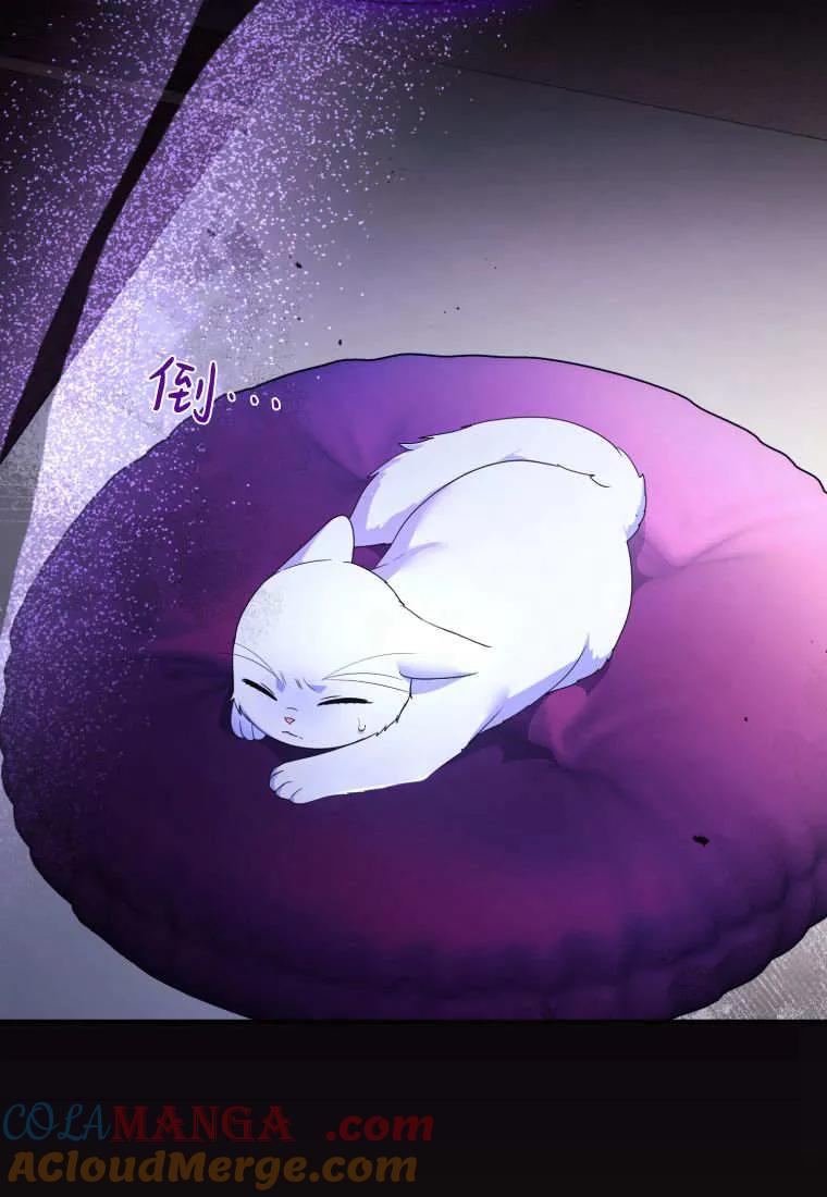 成为苏尔坦珍爱的猫咪 第70话 第85页