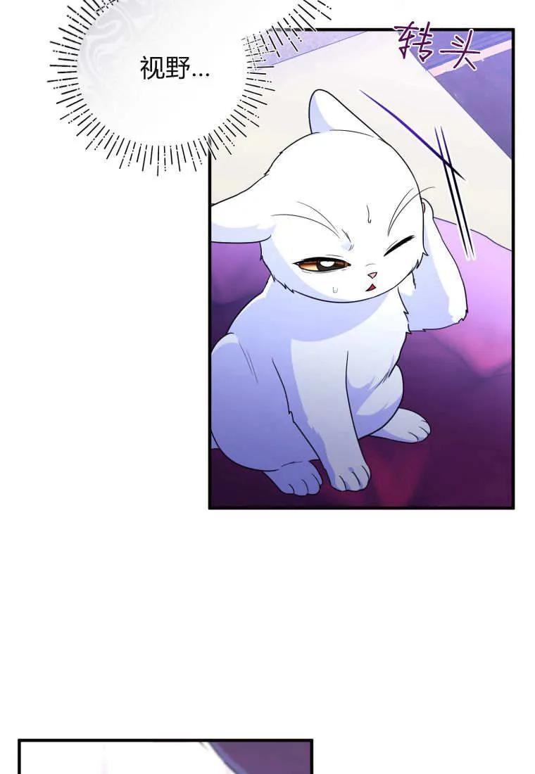成为苏尔坦珍爱的猫咪 第70话 第77页