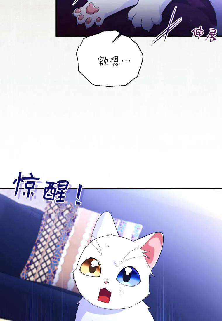 成为苏尔坦珍爱的猫咪 第70话 第71页