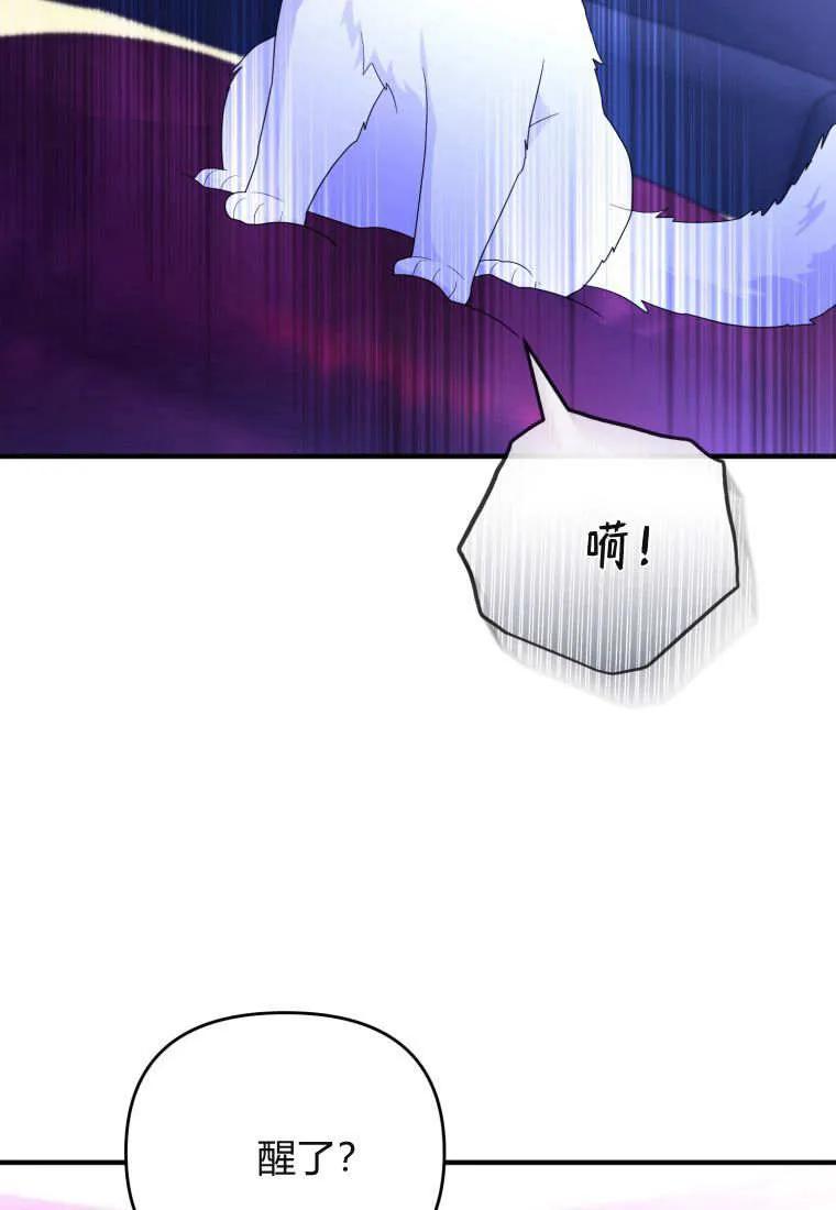 成为苏尔坦珍爱的猫咪 第70话 第72页