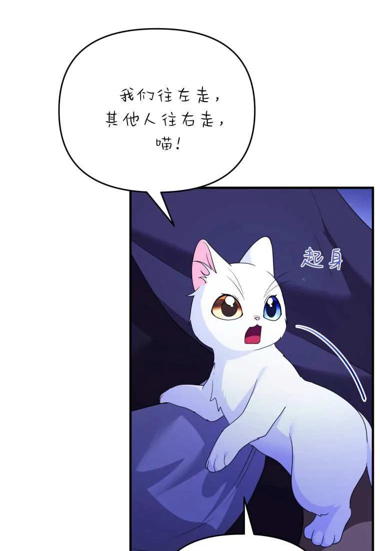 成为苏尔坦珍爱的猫咪 第70话 第59页