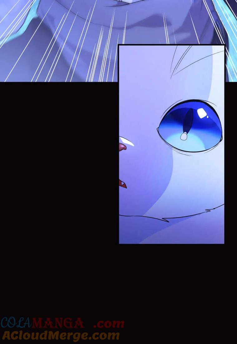 成为苏尔坦珍爱的猫咪 第70话 第67页