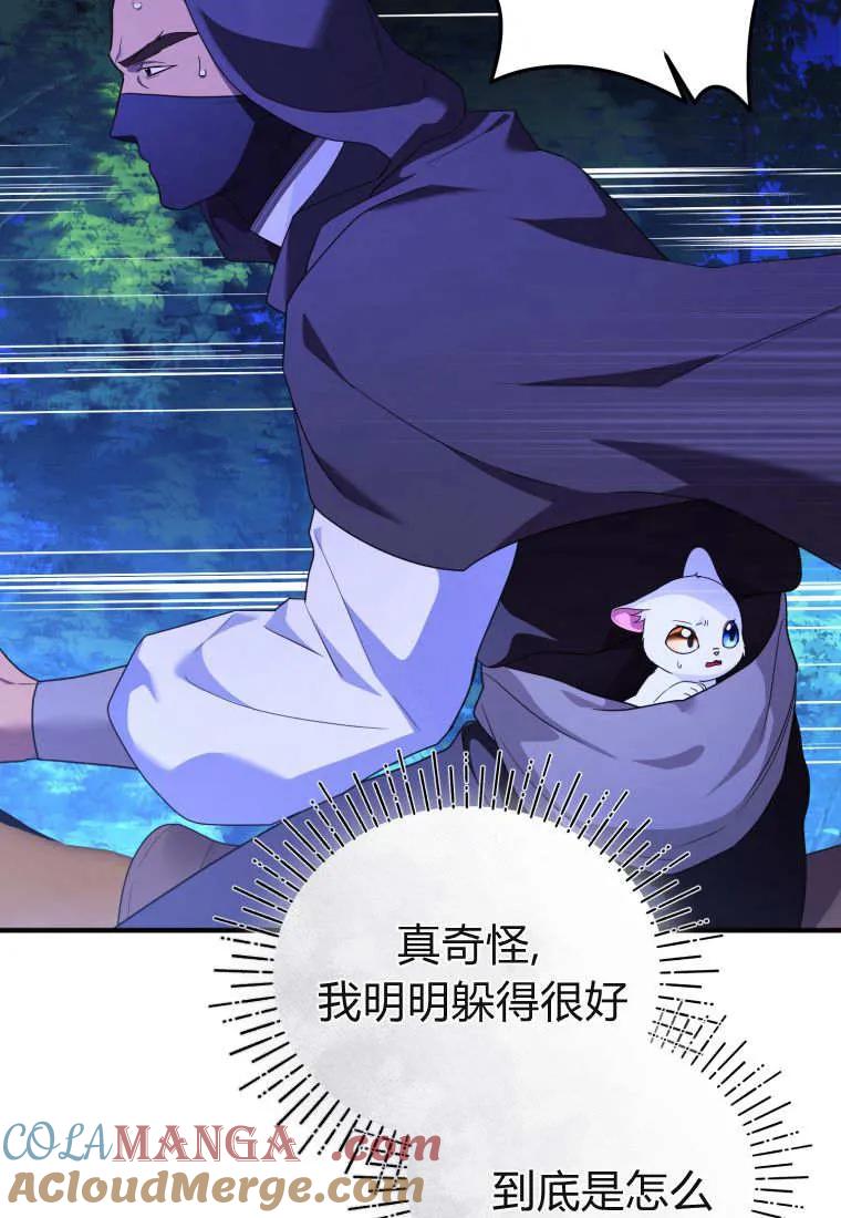 成为苏尔坦珍爱的猫咪 第70话 第64页