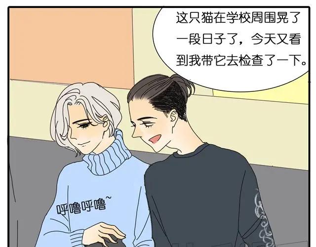 黎明有星辰 第30话 最后原谅你一次 第20页