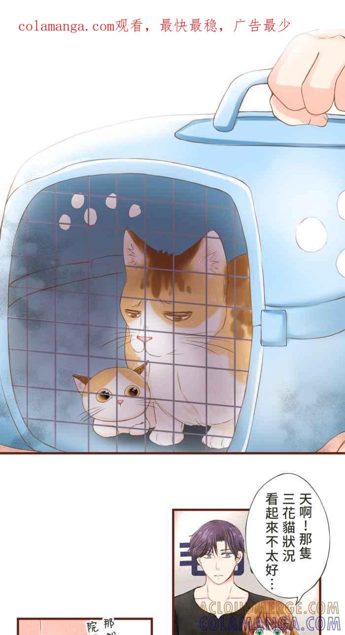 《霸总就爱吃定我》【第13话】再次相遇 第1页