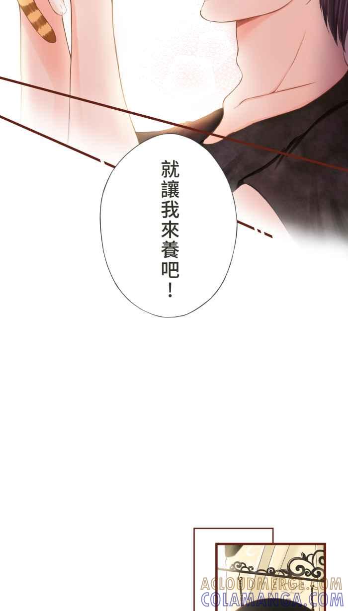 《霸总就爱吃定我》【第13话】再次相遇 第13页