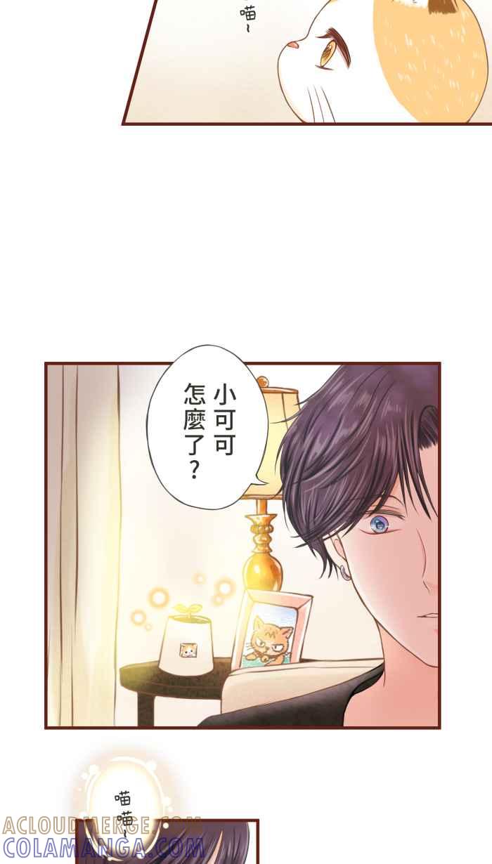 《霸总就爱吃定我》【第14话】感谢有妳 第37页