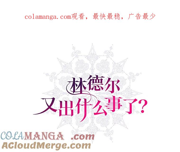 《林德尔又出什么事了？》16.调虎离山 第1页