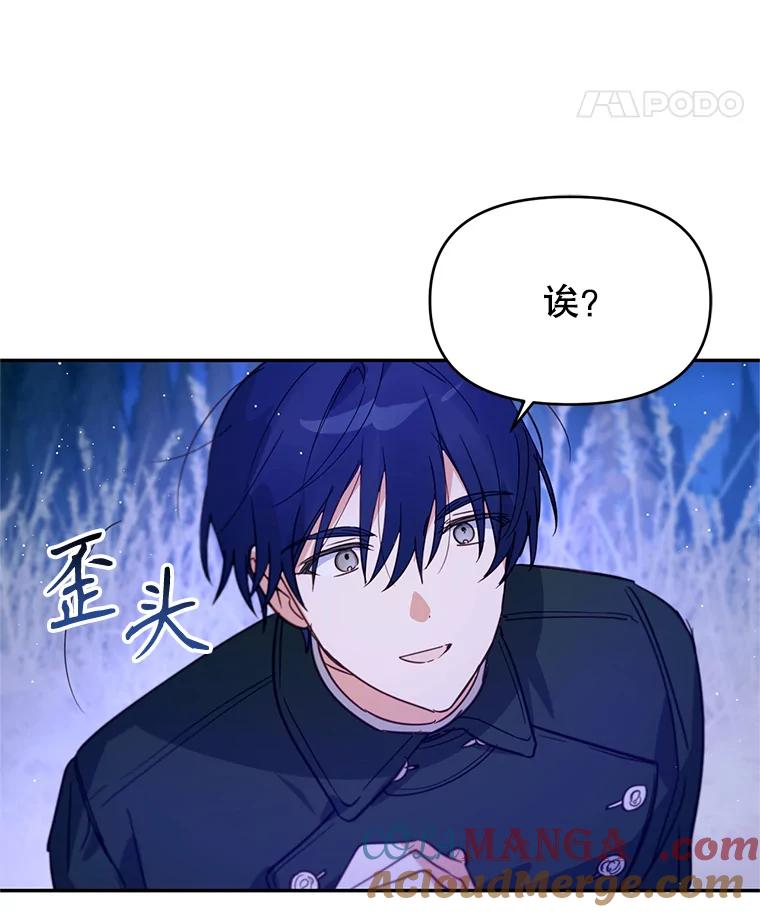 《林德尔又出什么事了？》16.调虎离山 第101页