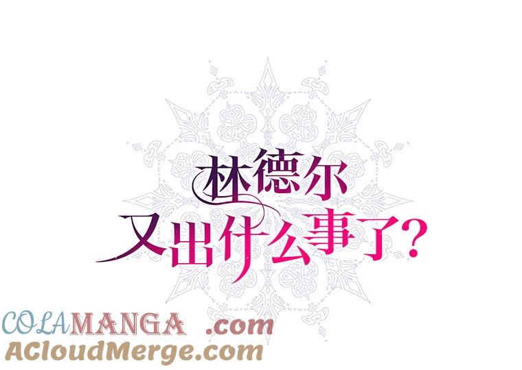《林德尔又出什么事了？》17.埃利亚斯王子 第37页