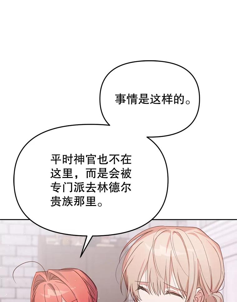 《林德尔又出什么事了？》19.结为盟友 第45页