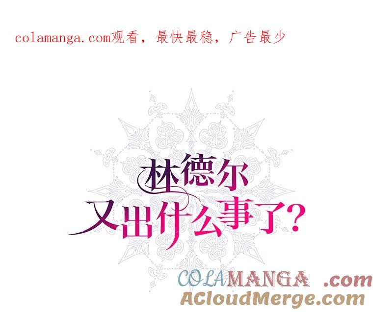 《林德尔又出什么事了？》19.结为盟友 第1页