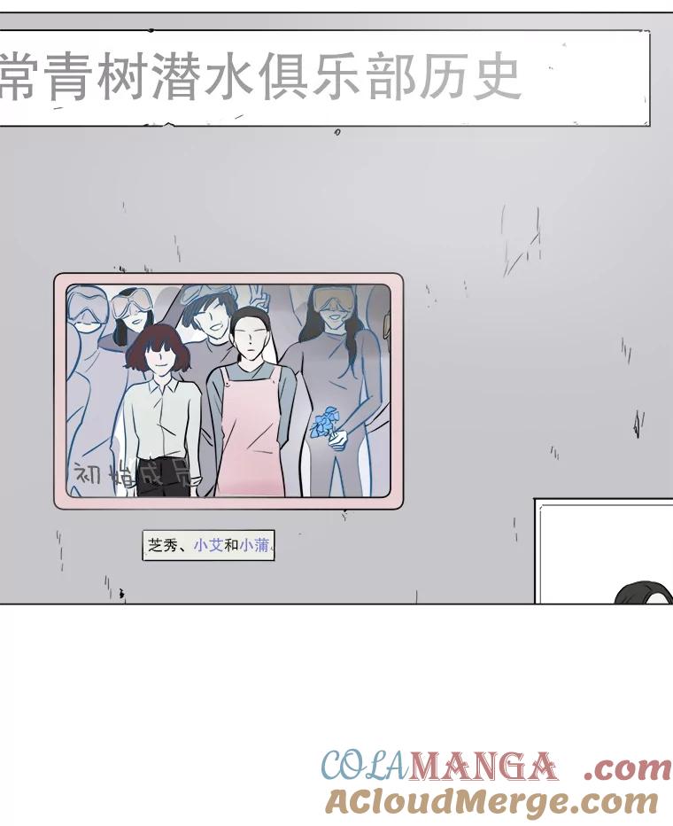 《寻找小艾》22.常青树 第73页