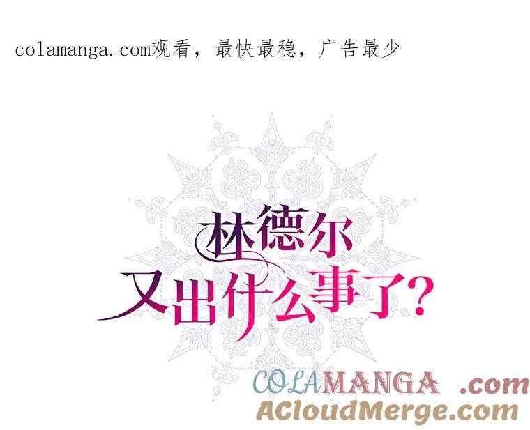 《林德尔又出什么事了？》22.投掷炸弹 第1页