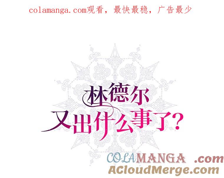 《林德尔又出什么事了？》27.计划夭折 第1页