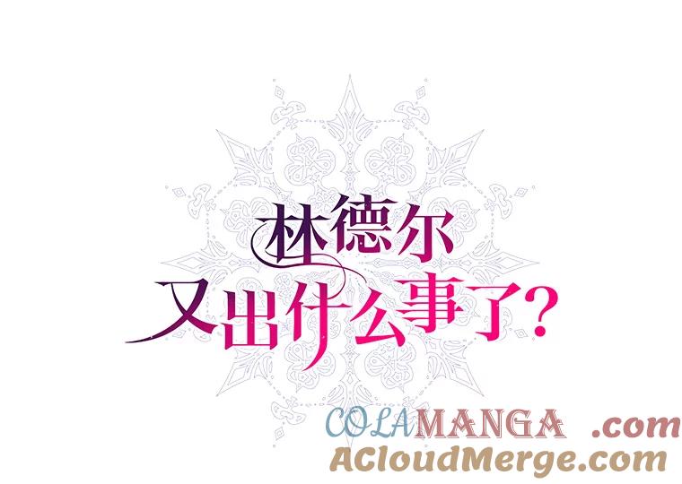 《林德尔又出什么事了？》1.拿回印章 第41页