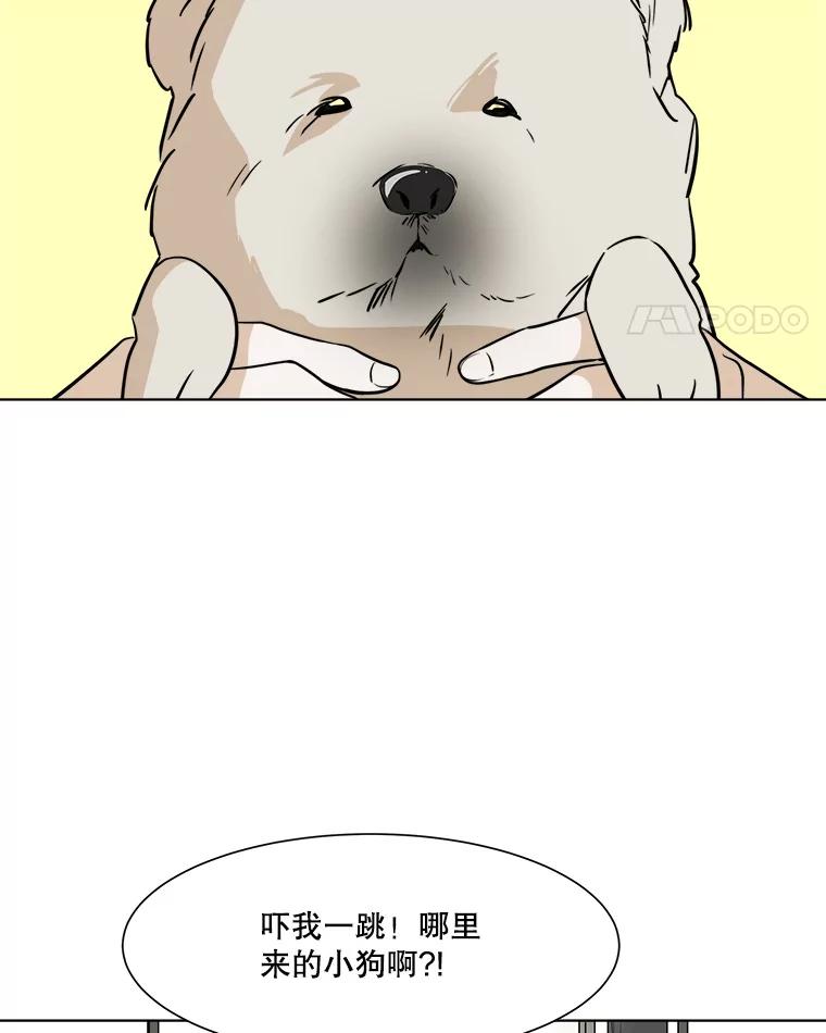 《寻找小艾》33.植物园长大的孩子 第63页
