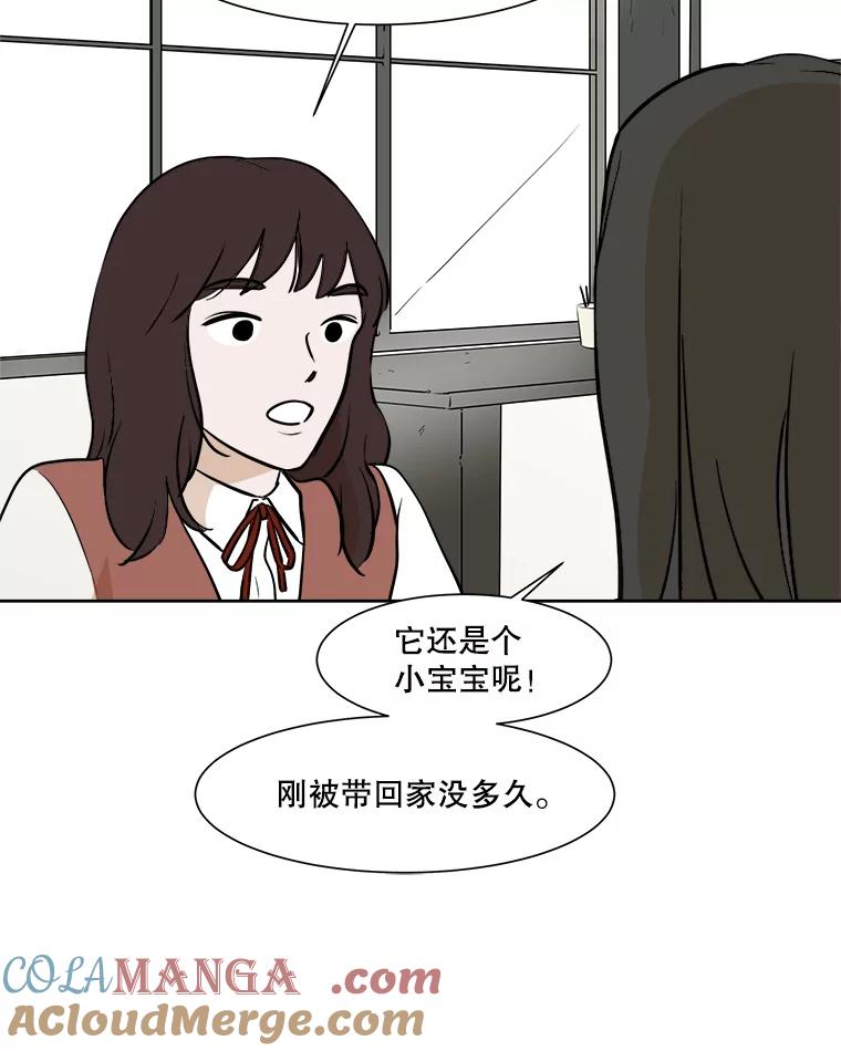 《寻找小艾》33.植物园长大的孩子 第64页
