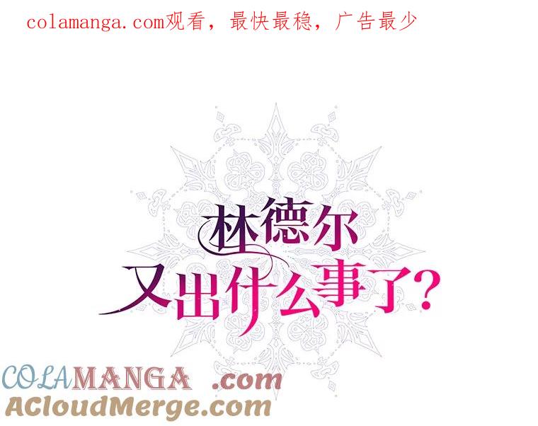 《林德尔又出什么事了？》36.幸运的证据 第1页