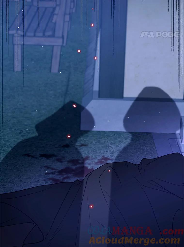《林德尔又出什么事了？》38.遭遇暗杀 第21页