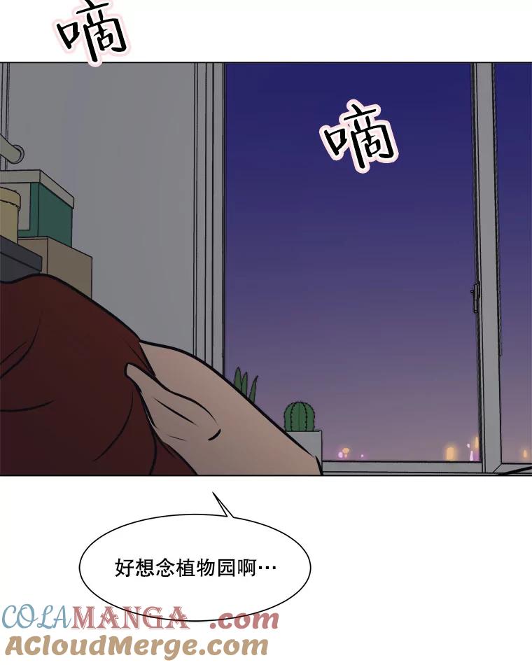 《寻找小艾》52.提案 第73页