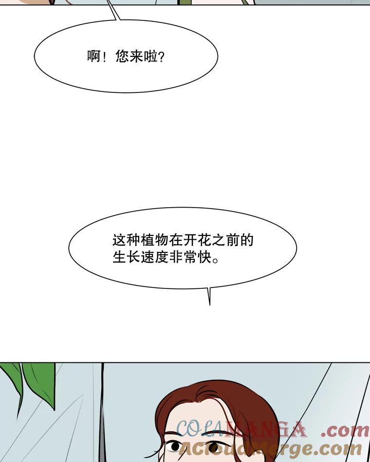 《寻找小艾》54.海螺挂件（1） 第64页