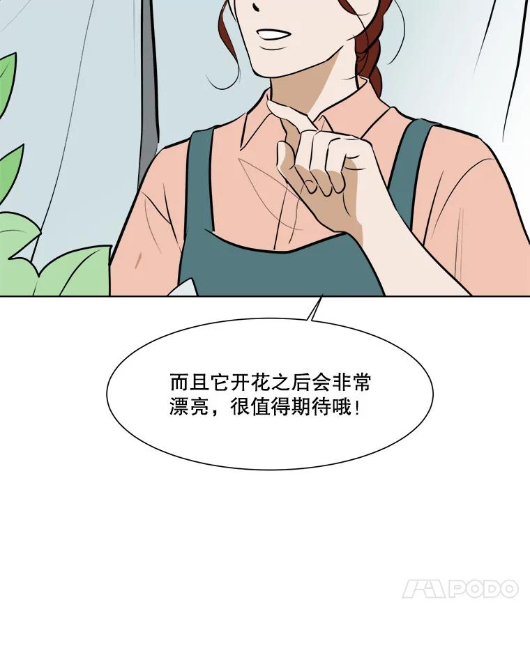 《寻找小艾》54.海螺挂件（1） 第65页