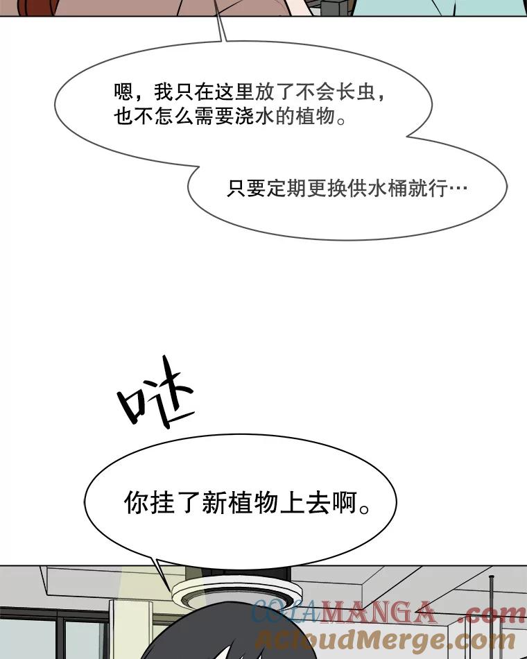 《寻找小艾》59.玫瑰奶球（1） 第46页