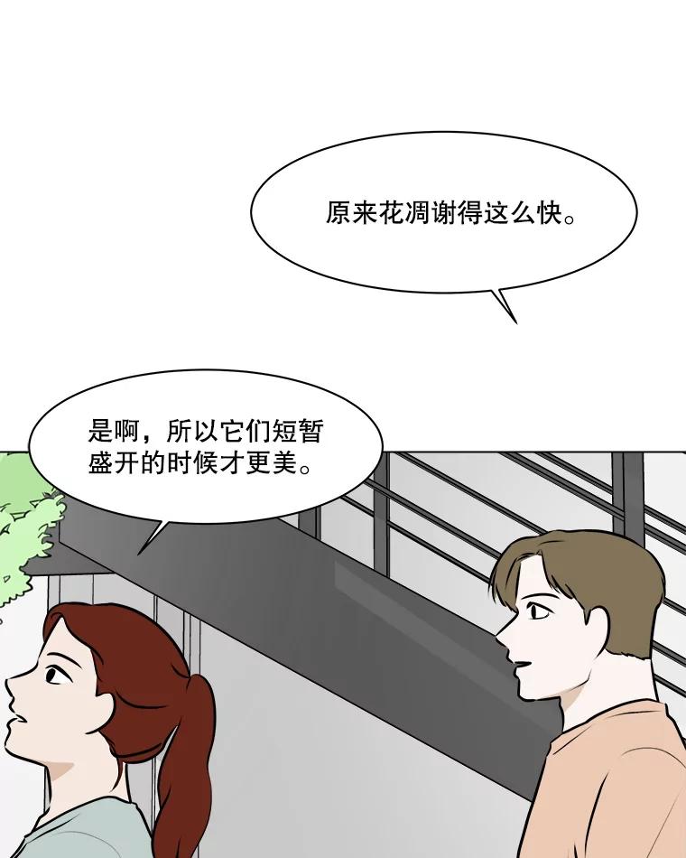 《寻找小艾》65.那不是爱 第54页