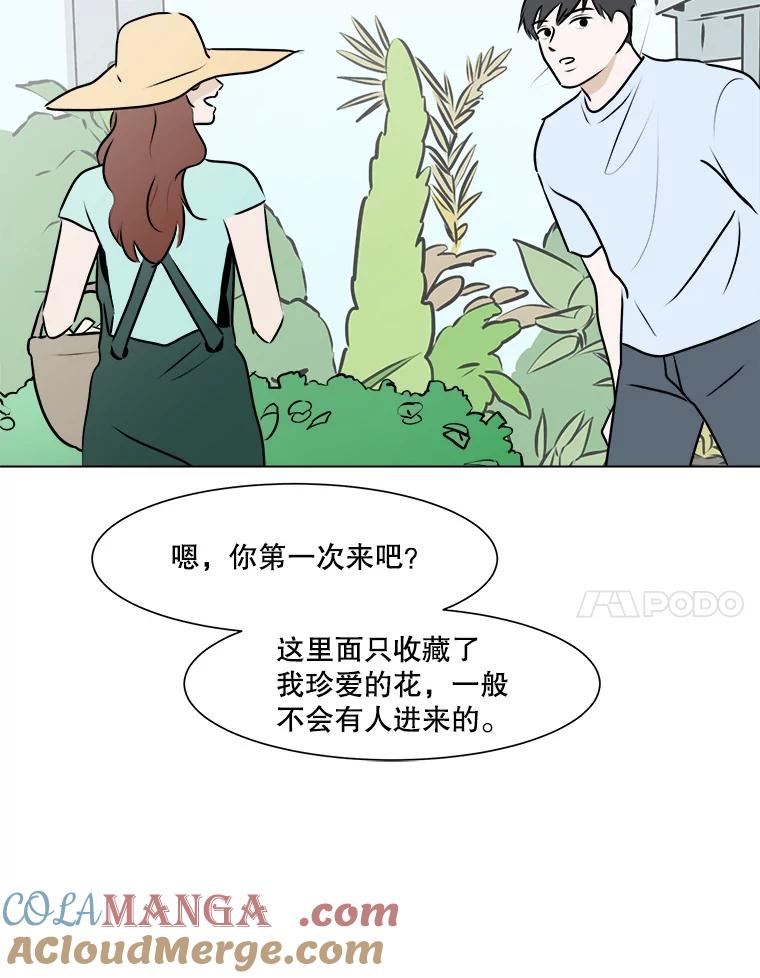 《寻找小艾》67.蝴蝶兰 第7页