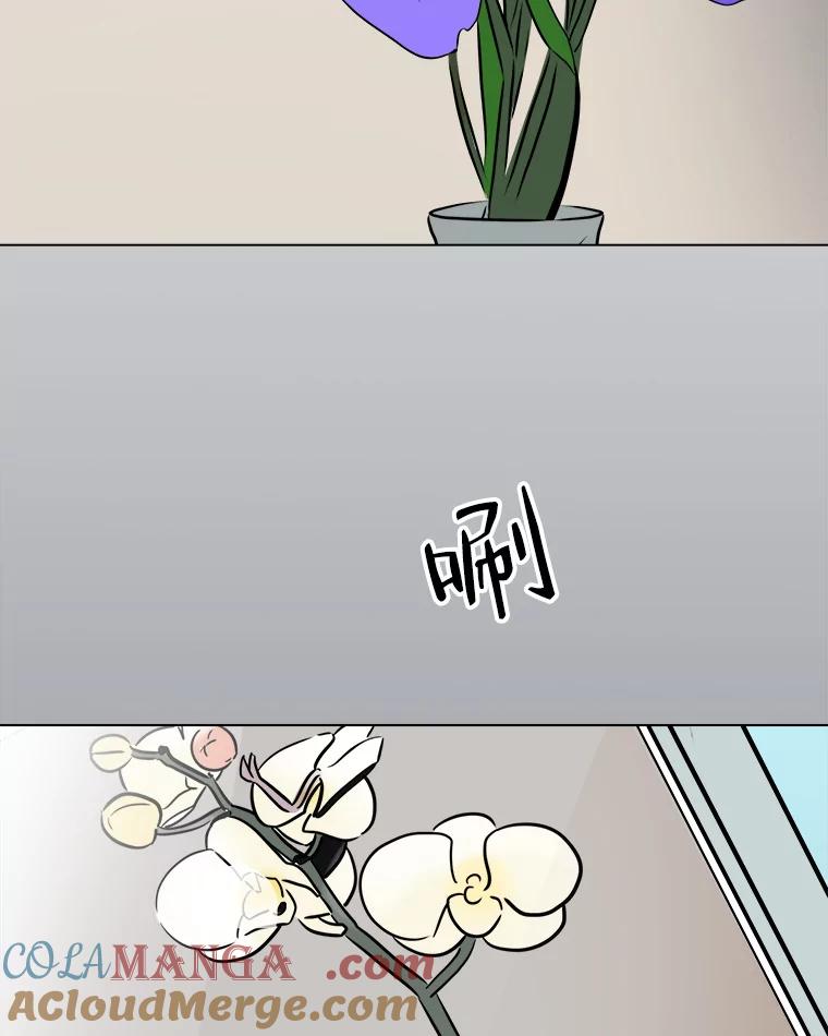《寻找小艾》67.蝴蝶兰 第67页