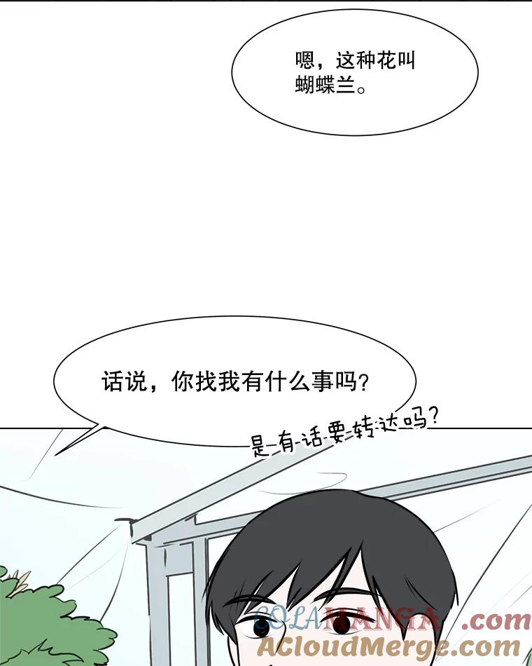 《寻找小艾》67.蝴蝶兰 第10页