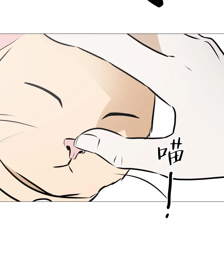 《寻找小艾》74.悬崖边的路 第82页