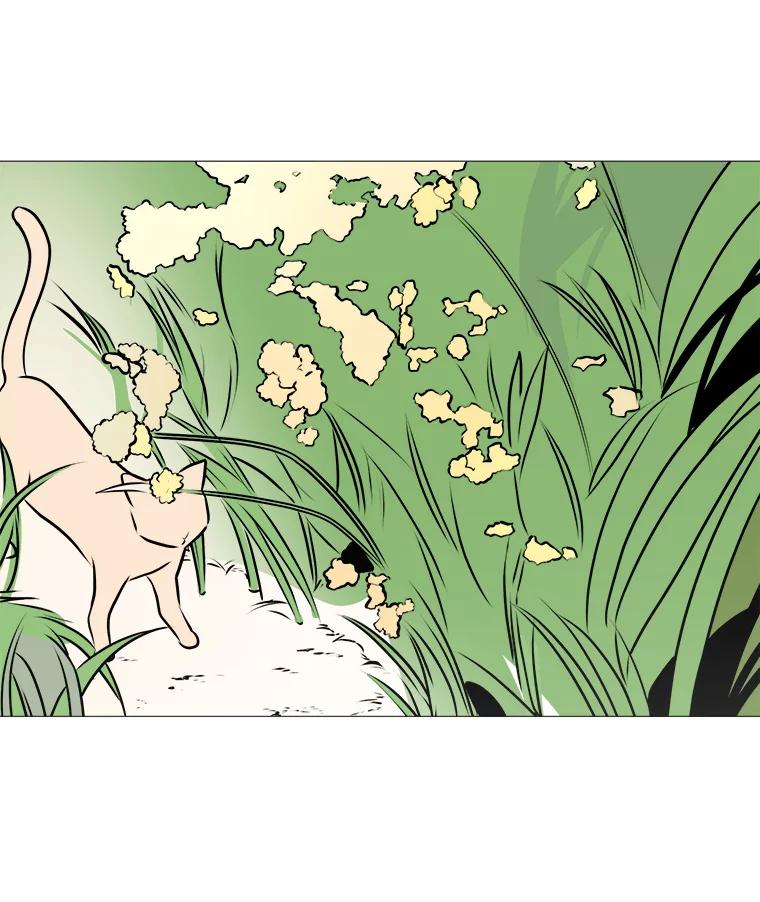 《寻找小艾》74.悬崖边的路 第80页