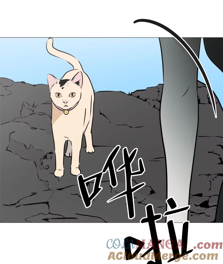 《寻找小艾》74.悬崖边的路 第81页