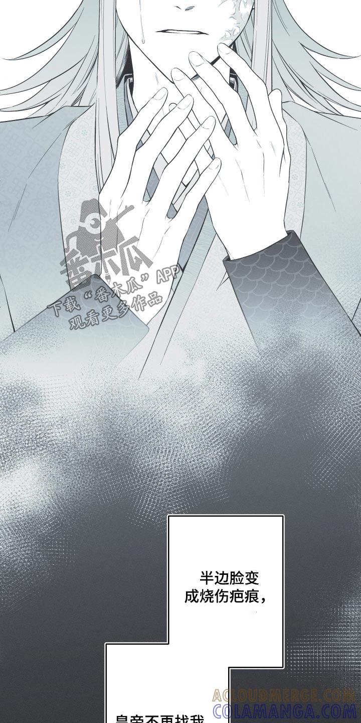 《蛇环凶危》第112章：【第三季】毁容 第5页