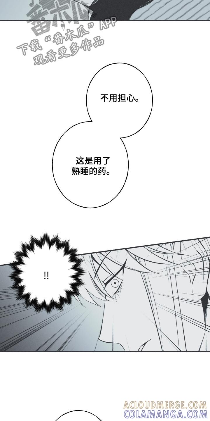 《蛇环凶危》第121章：【第三季】你是谁 第13页